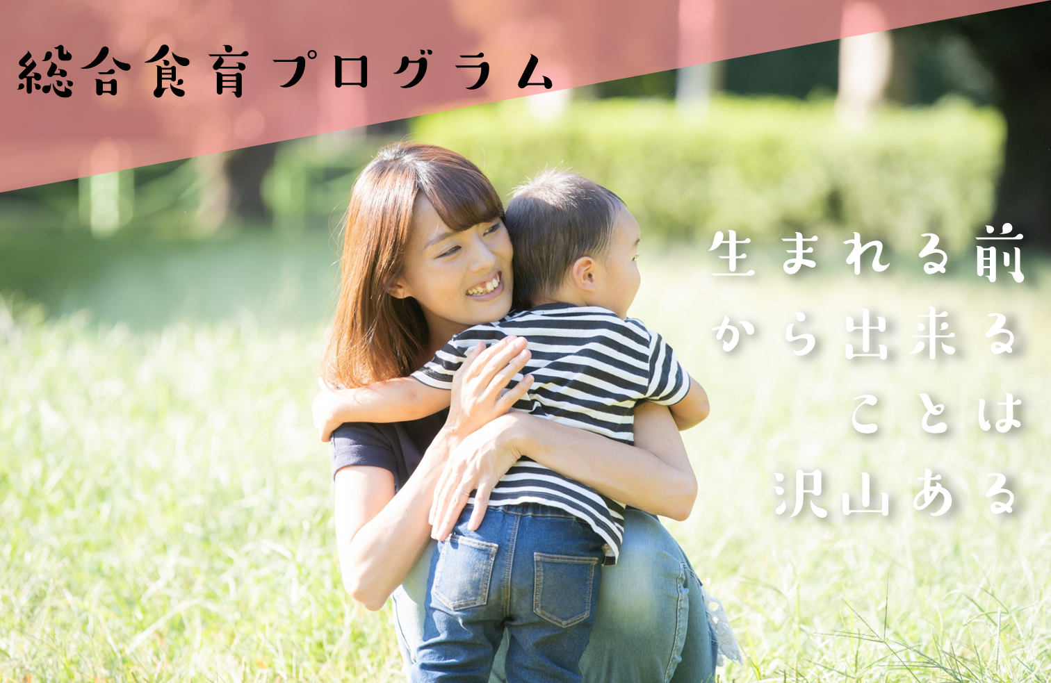 総合食育プログラム