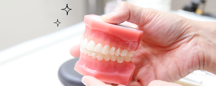 様々な歯並び・症例に対応できる矯正治療